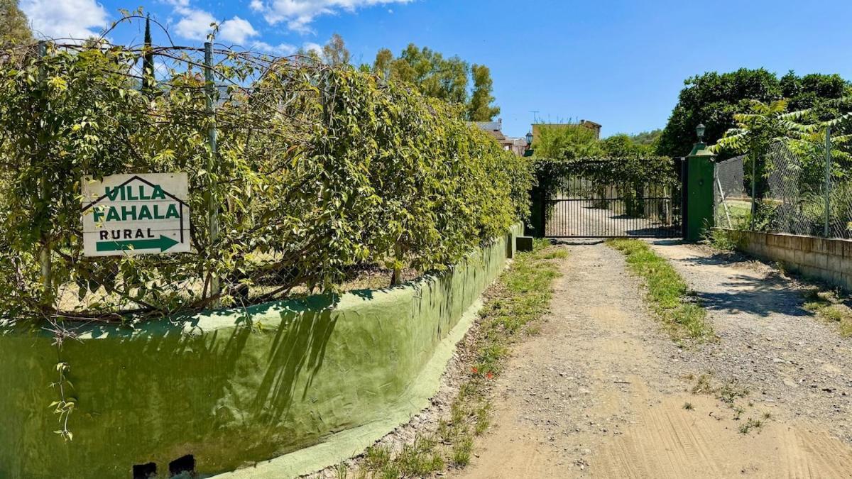 מאלגה Casa Rural De Diseno Con Piscina Y Barbacoa מראה חיצוני תמונה